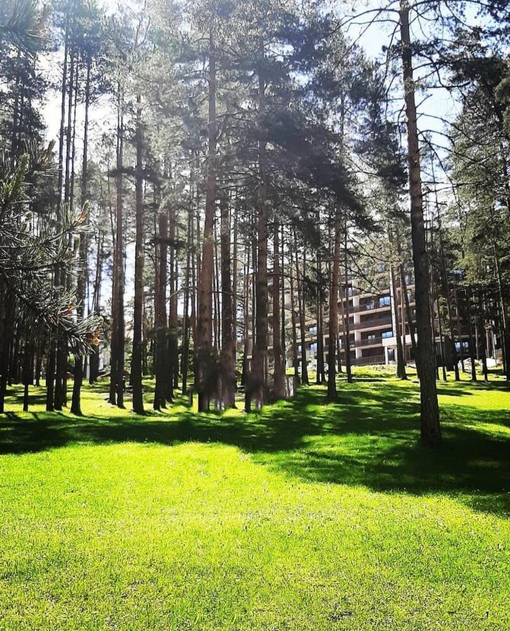 Panorama Lux Apartmani Vila Pekovic Zlatibor Exterior foto